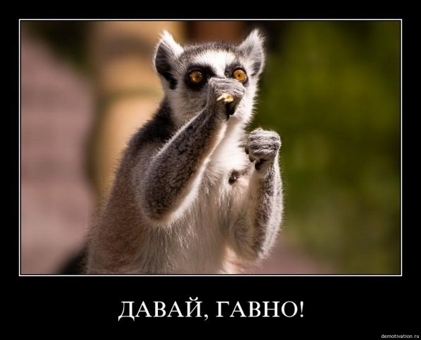 http://s6.pikabu.ru/images/big_size_comm/2014-06_2/14023399939929.jpg