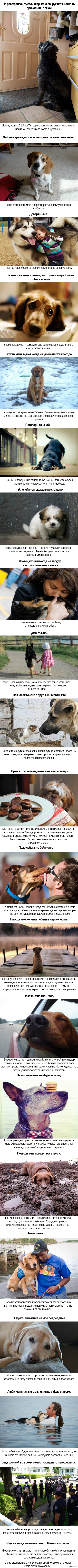 http://s6.pikabu.ru/post_img/2014/02/21/9/1392992197_157831638.jpg