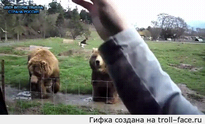 1394020205_978390875.gif