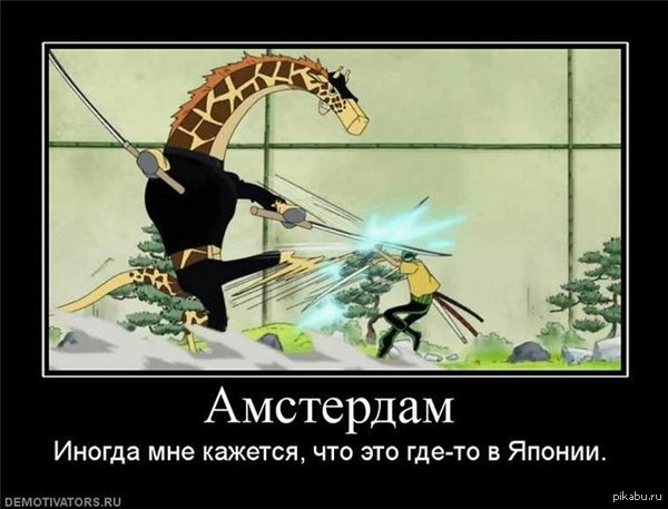 1397627225_2011239073.jpg