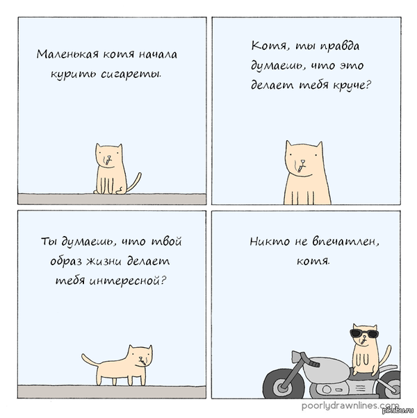 1399360859_1440475352.png