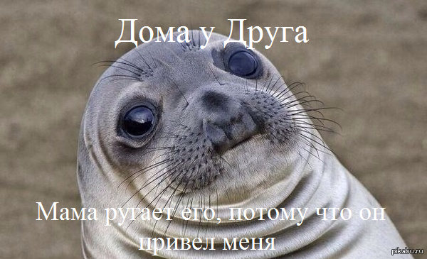 Как вспомню, аж не по себе... перевел и слепил в пеинте специально для пикабу с 9gag.com  юмор, тюлень, друг, родители