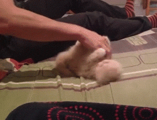 1404087546_1167083255.gif