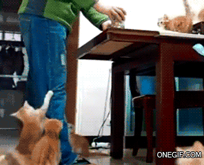 1406817162_1069425855.gif