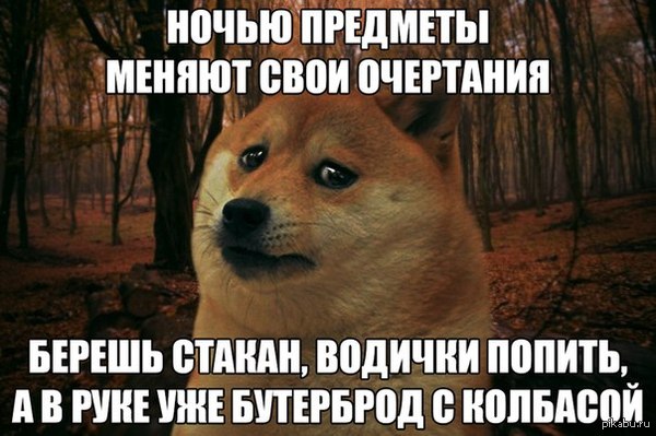 1412059225_1039993060.jpg