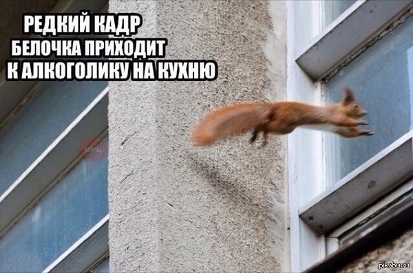 1412653103_981280468.jpg