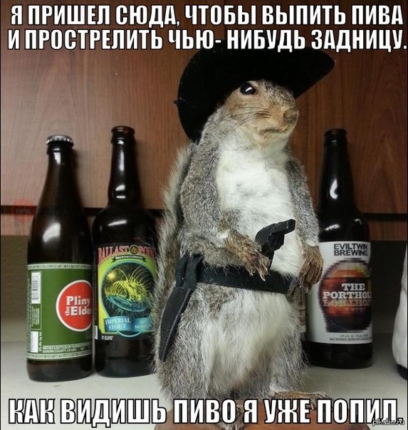 1414597214_252003622.jpg