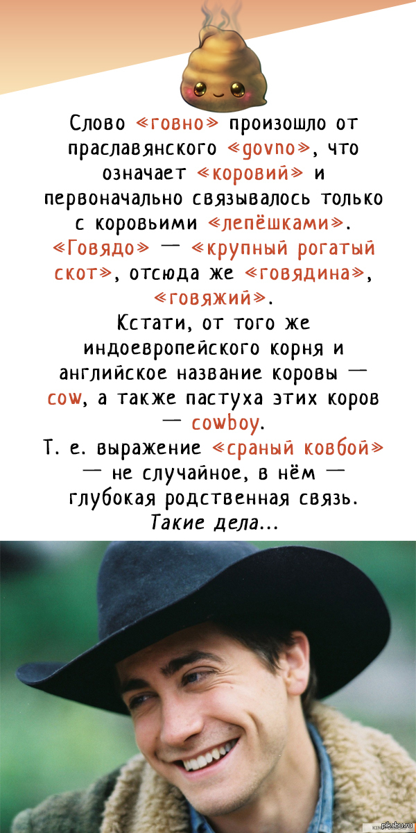 Связано ли слово ковбой со словом корова Связано ли слово ковбой со словом корова