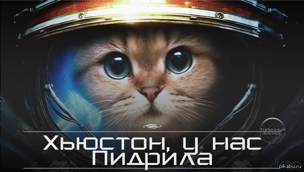 1398498377_2067395359.jpg
