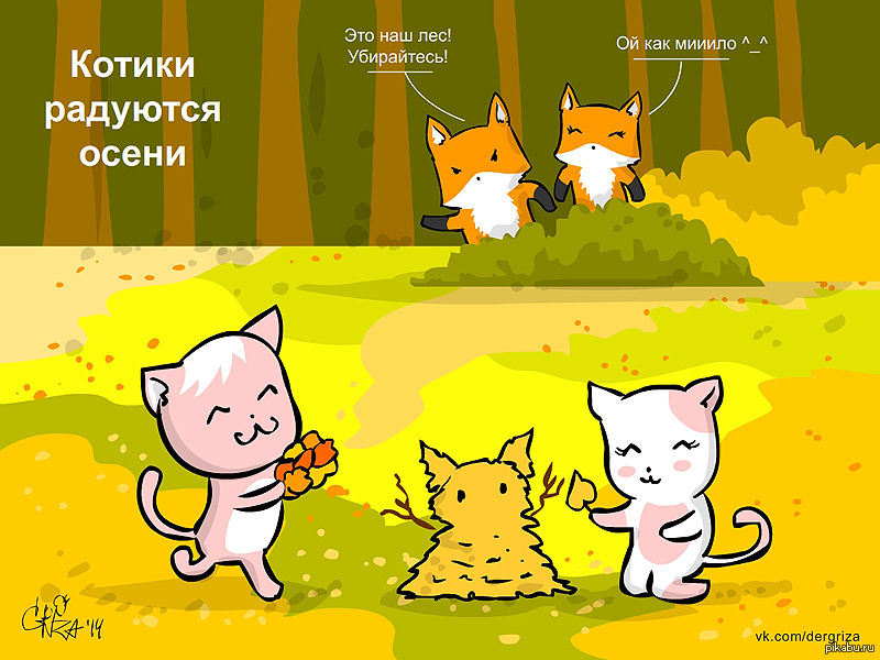 Картинки осень котики Картинки осень котики