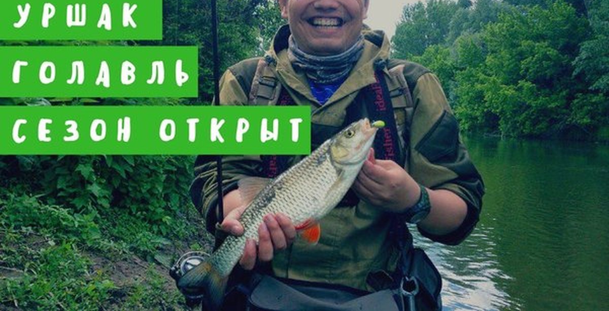 голавль в апреле на спиннинг видео голавль в апреле на спиннинг видео