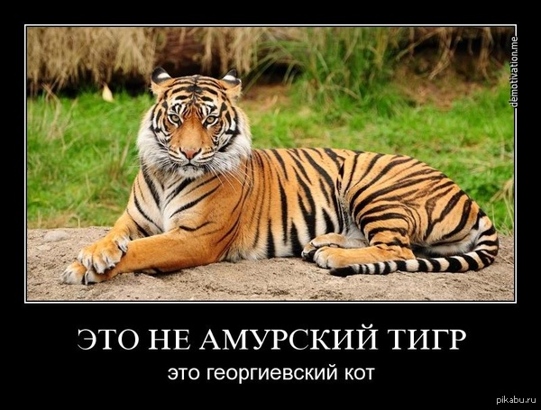http://s6.pikabu.ru/post_img/2014/04/22/11/1398189784_367593130.jpg