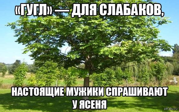 http://s6.pikabu.ru/post_img/2014/07/16/7/1405507802_2040069365.jpg